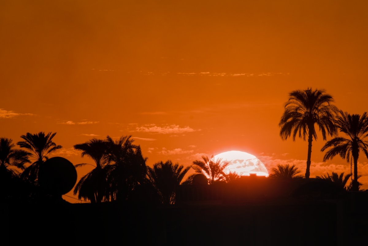 Levo décadas escoitando falar sobre o Val dos Reis en Luxor, onde se descubriu a tumba de Tutankhamon, sen que espertase en min a curiosidade de saber que era iso. Que saibades que é verdade que esa non é, nin de lonxe, a tumba máis espectacular.
deviaxe.es/2024/02/a-necr…