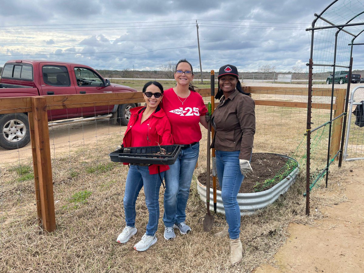 h4thtx's tweet photo. Much love to DOW Texas Operations, for taking time out of your busy day to work hard in the garden with us yesterday!
“When we give cheerfully and accept gratefully, everyone is blessed!” - Maya Angelou📷📷📷
#DOWTexasOperations
#flexinggreenthumb https://t.co/eDuG0TjOfn