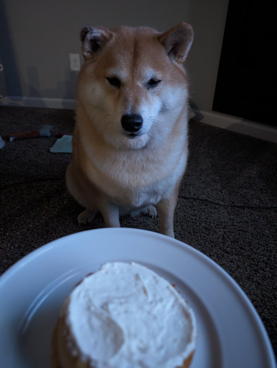 ThereBeMoogles's tweet photo. Hi Friends! I'm not feeling very good at all today so I'm going to say no stream.

Right now, I think my plan is to stream Wednesday and we'll start Mineko's Night Market! 

You all are cute and I hope you have a great day!! https://t.co/9TnT9ERqmz