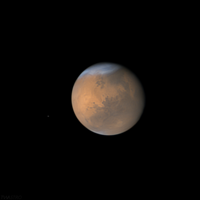 A process of #Mars & Phobos on November 12th, 2022 - a bit of practice ahead of the rapidly approaching 2024/5 season. Single 1 minute video stack. #astrophotography