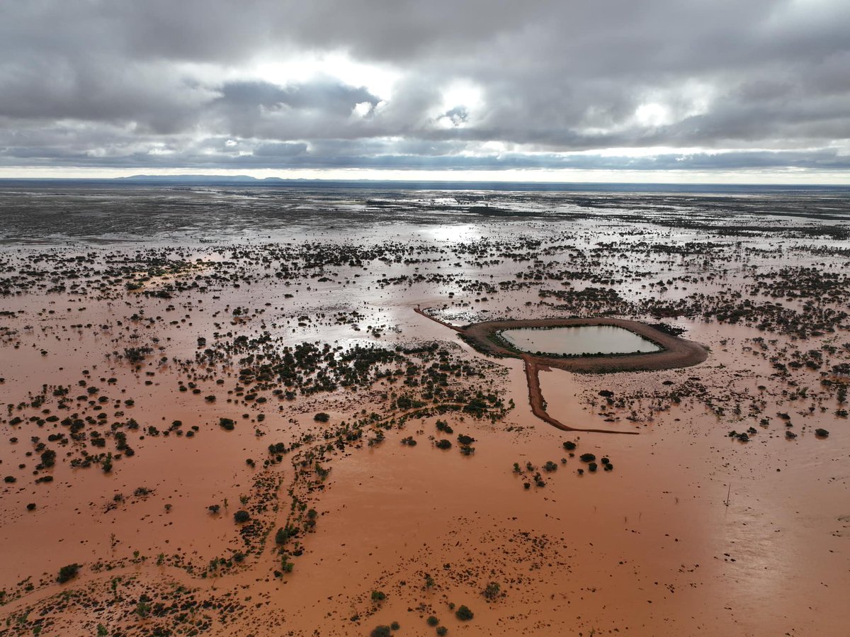 First day of shearing for the Luckrafts at Allandy Station and the rain has fallen. Living 250km north-west of Broken Hill this is the most amount of rain they’ve seen on the place in one fall. 100mm and counting @SciNate