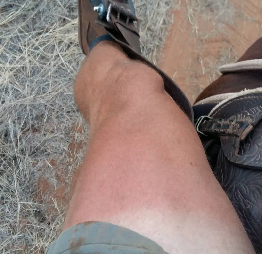 Boertjie🇿🇦 tweet media