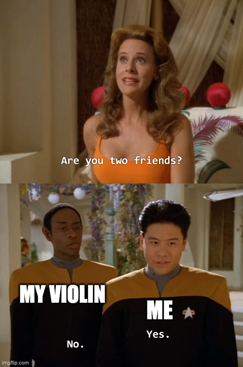 BirdingBrussels's tweet image. My violin after I didn't manage to find the time to practice for, like, one day:
#40hours