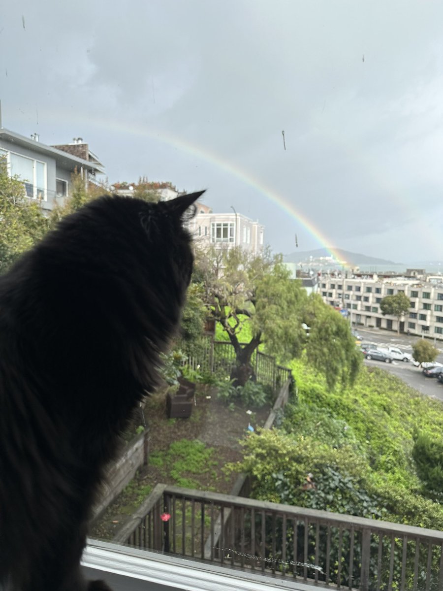 Socrates76's tweet photo. @hthieblot Saw this today too. Lots of great rainbows out there recently. https://t.co/FmzPFGSXfJ