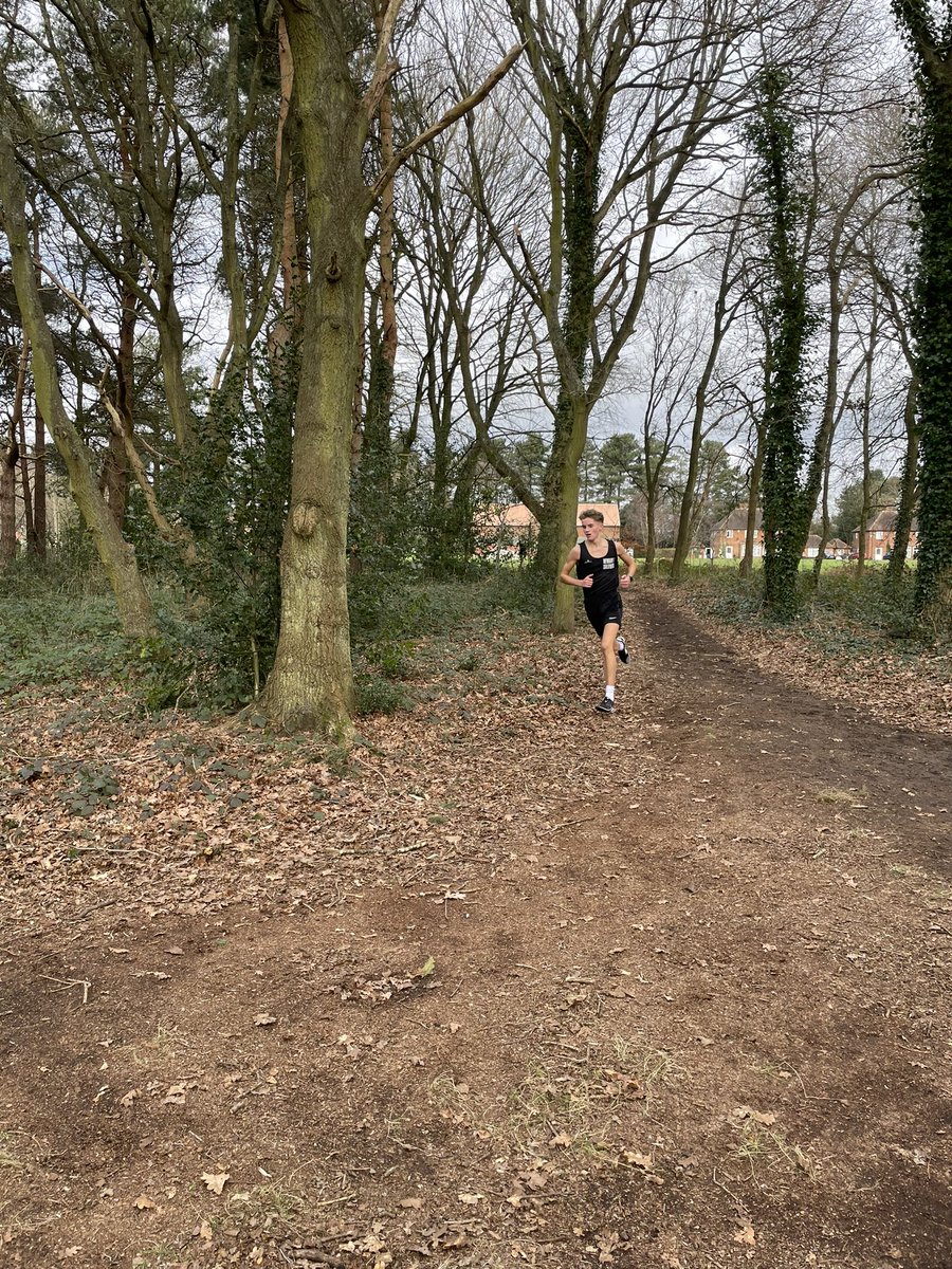 Joseph Whitaker PE tweet media