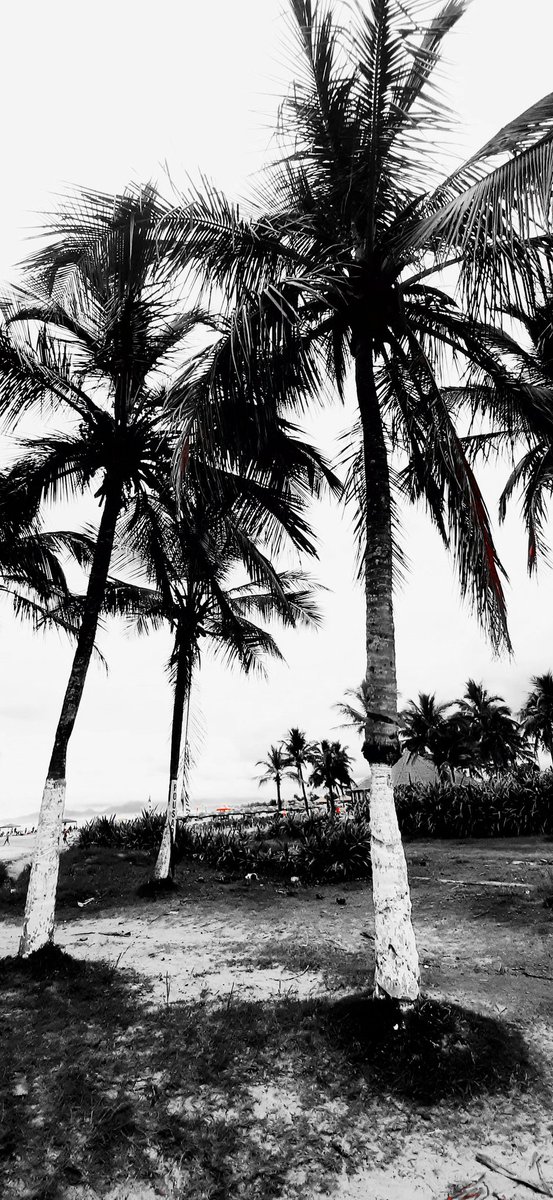 kaicara_347's tweet image. 📸🖤🤍

#minhaCidade #Itanhaém #LitoralSul #Praia #Cibratel #photo #fotoviral #Brasil