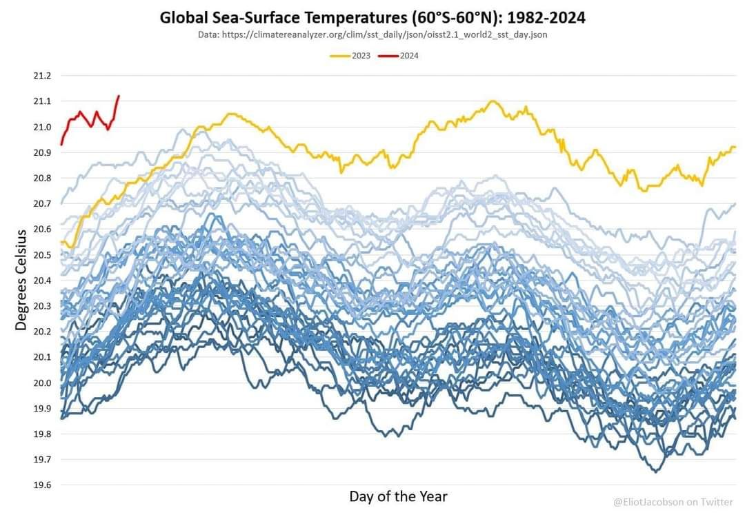 ⚠️ Hoy en el grupo de seguimiento AMETSE estamos hablando sobre este gráfico. 

Representa la temperatura media del conjunto de los océanos y como ha ido evolucionando en los últimos años. Estos días se está registrando  la temperatura media más alta🌡️medida hasta la fecha.