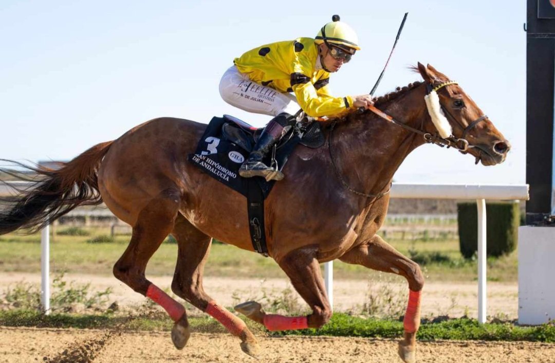 +1 Astimegoesby 🟡⚫ @GranHipodromo2H entrenador Blas Rama @DiazmorCuadra 🙏🕊