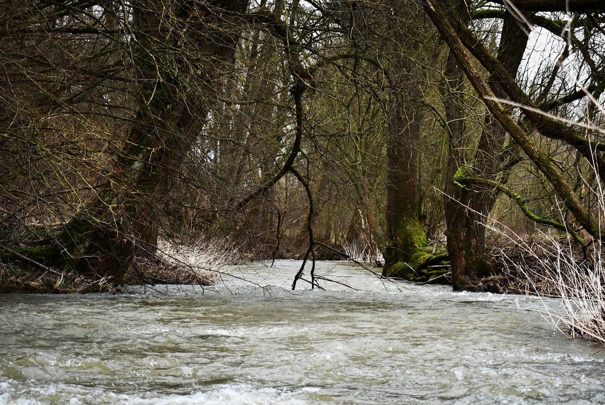 Ralph Eikenberg tweet media