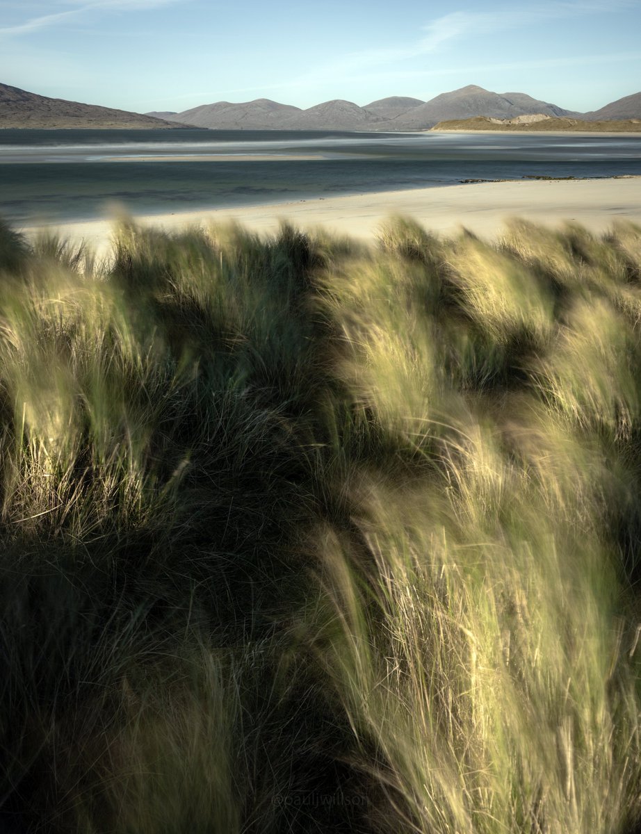 From the marram grass dunes
#Scotland #IsleofHarris