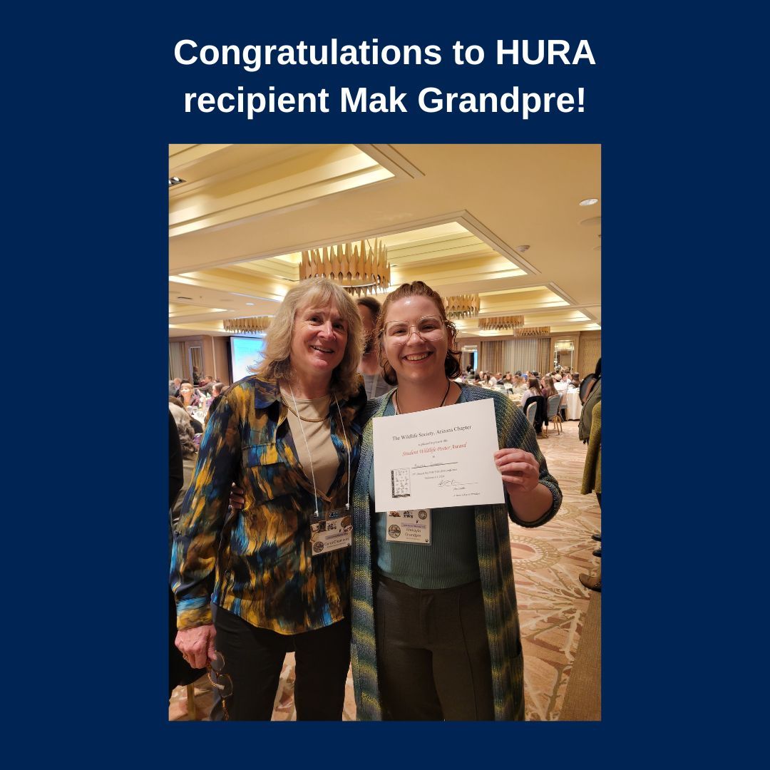 Were at OURCA, we love to see students excel! This past weekend, HURA recipient Mak Grandpre won the Best Poster Award at a conference. On the second slide, you can see Mak with her mentor, Dr. Carol Chambers. Congratulations to Mak and Dr. Carol Chambers!