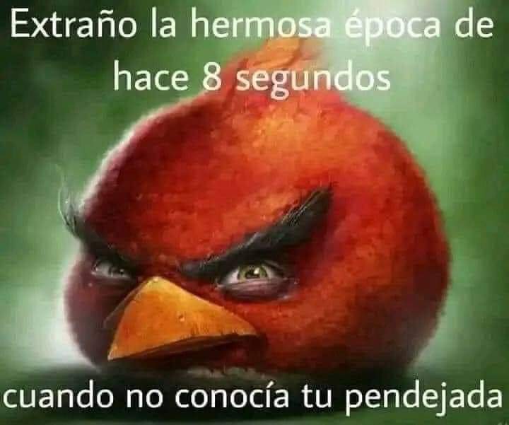 robertoep21's tweet photo. @OutOfContextMex La mamá al ver el mensaje: https://t.co/kIGg5K7XIi