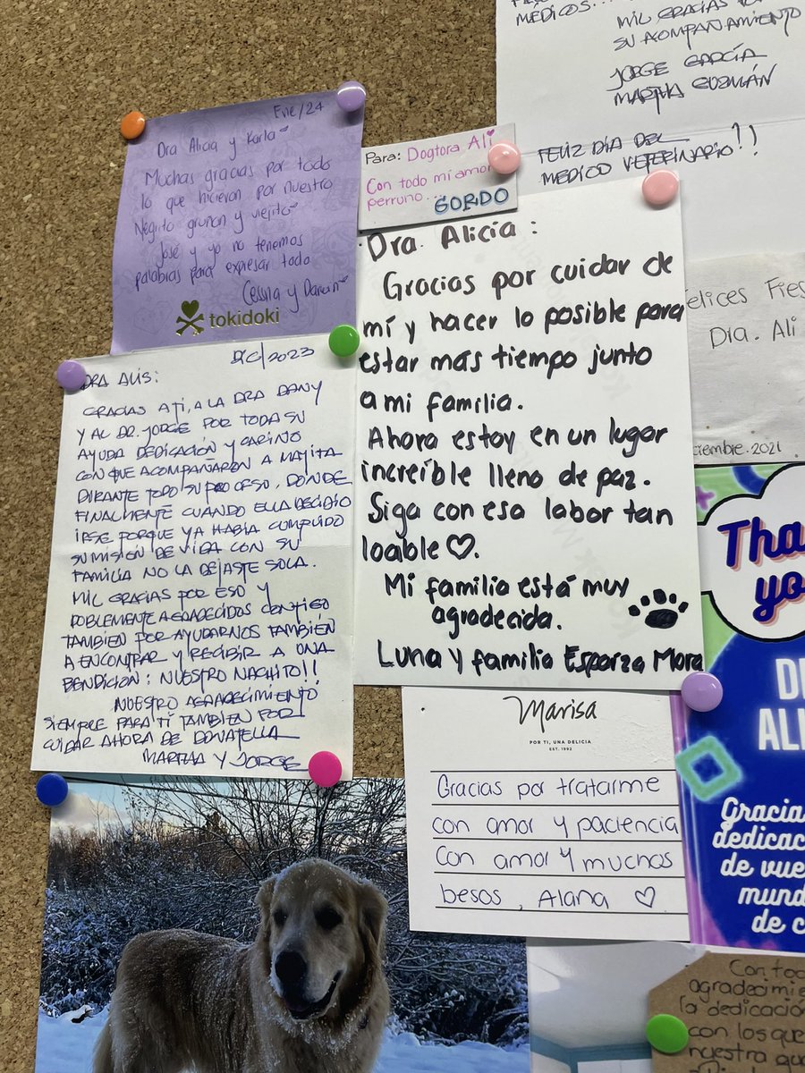 alexia_herm's tweet photo. No es muy alentador ver esto, cuando llevas a tu perrita al oncólogo https://t.co/uUgbINi1bv