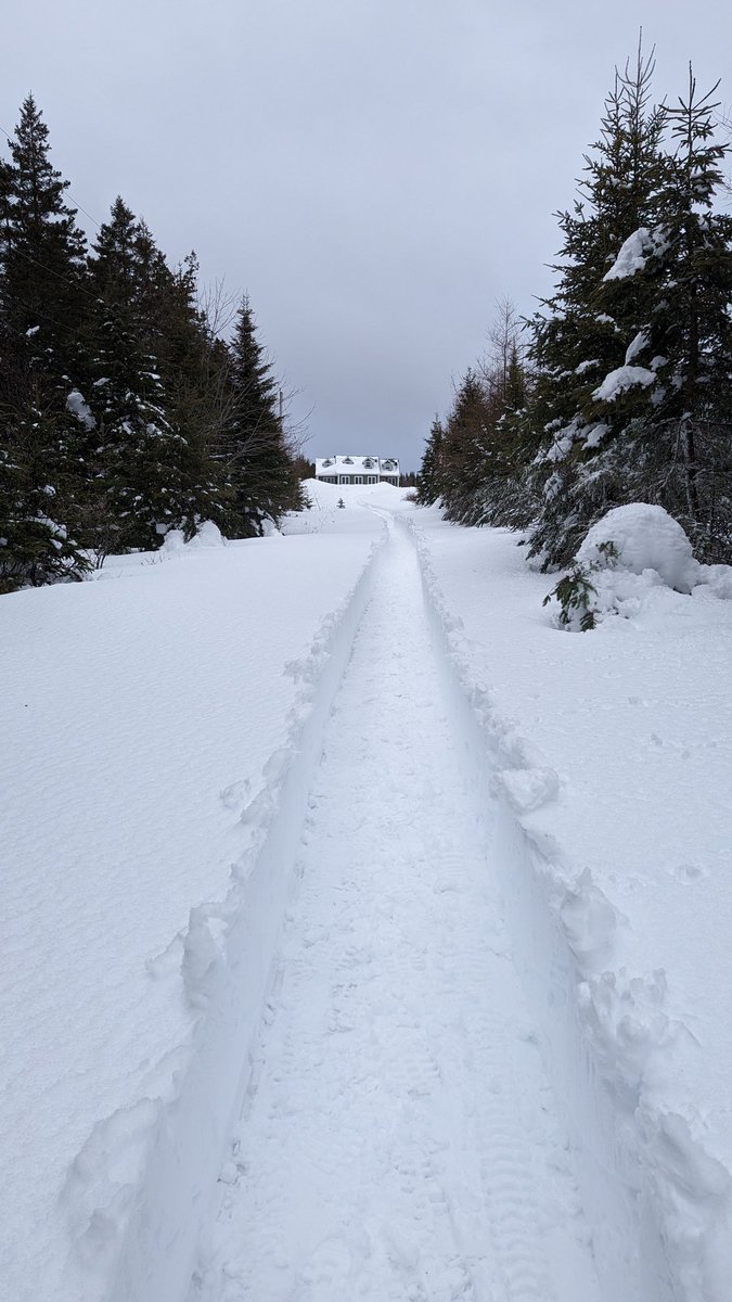 VA1MRT's tweet photo. @HusqvarnaCA @HusqvarnaUSA you're snow blowers are tanks. Paid for itself as I tackle 1200 feet of driveway. #nsstorm https://t.co/5lKSh2INYB