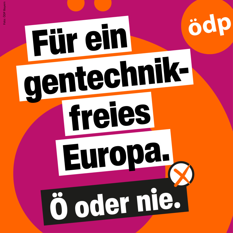 M. Weber verrät Europas Natur, während Söder ein gentechnikfreies Land verspricht. Bayern verfügt dank der ÖDP über das fortschrittlichste Naturschutz-Gesetz , trotzdem stimmt die CSU gerade in Brüssel für die 'Neue Gentechnik'.
#ÖDP #erstaunlichehrlich
oedp-bayern.de/aktuelles/pres…