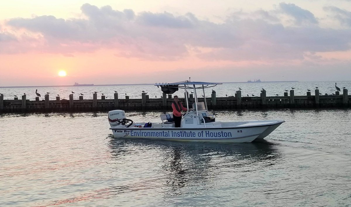 🚨 Summer 2024 Opportunities 🚨 Now hiring a Research Assistant and Research Intern to work with the Galveston Bay Dolphin Research Program. Applications due March 8, 2024. galvestonbaydolphin.org/summer-2024-op…