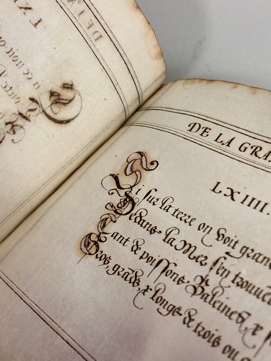 Some exciting #conservation work has been happening on the Esther Inglis manuscripts @CRC_EdUni! So far three manuscripts have had surface cleaning and paper repairs, in preparation for their digitisation this year. More to follow in a blog post soon ✍️ 📷 La.III.249; La.III.440