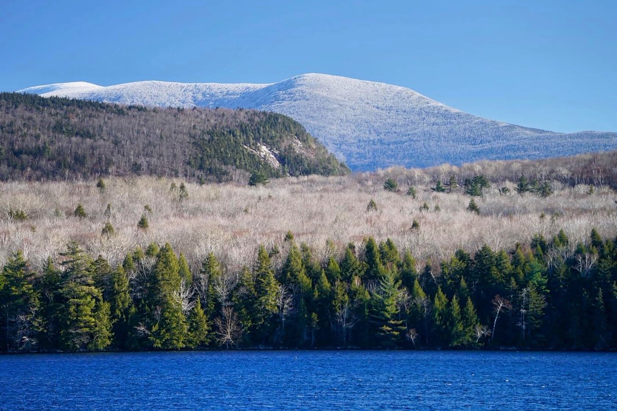 2024 is off to a running start. We want to thank some of our amazing partners, starting with @VTLawSchool, an essential teammate for our work to defend NH's White Mountain NF, and to up the ante for state lands in VT like the Wild Worcester Range. Thank you, VLGS! @PublicForests