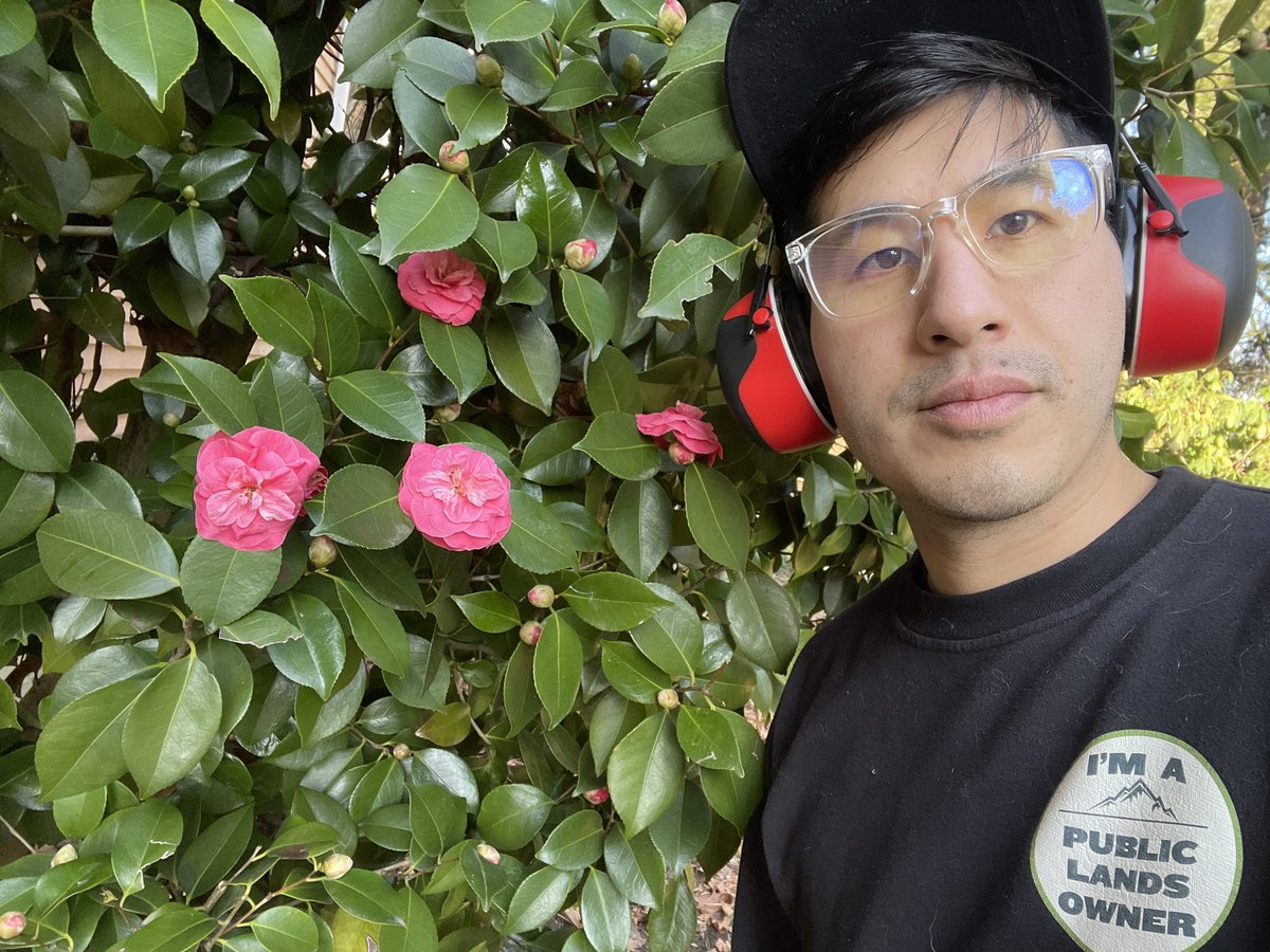 Alex Tran (he/him) 🌈🪷 tweet media