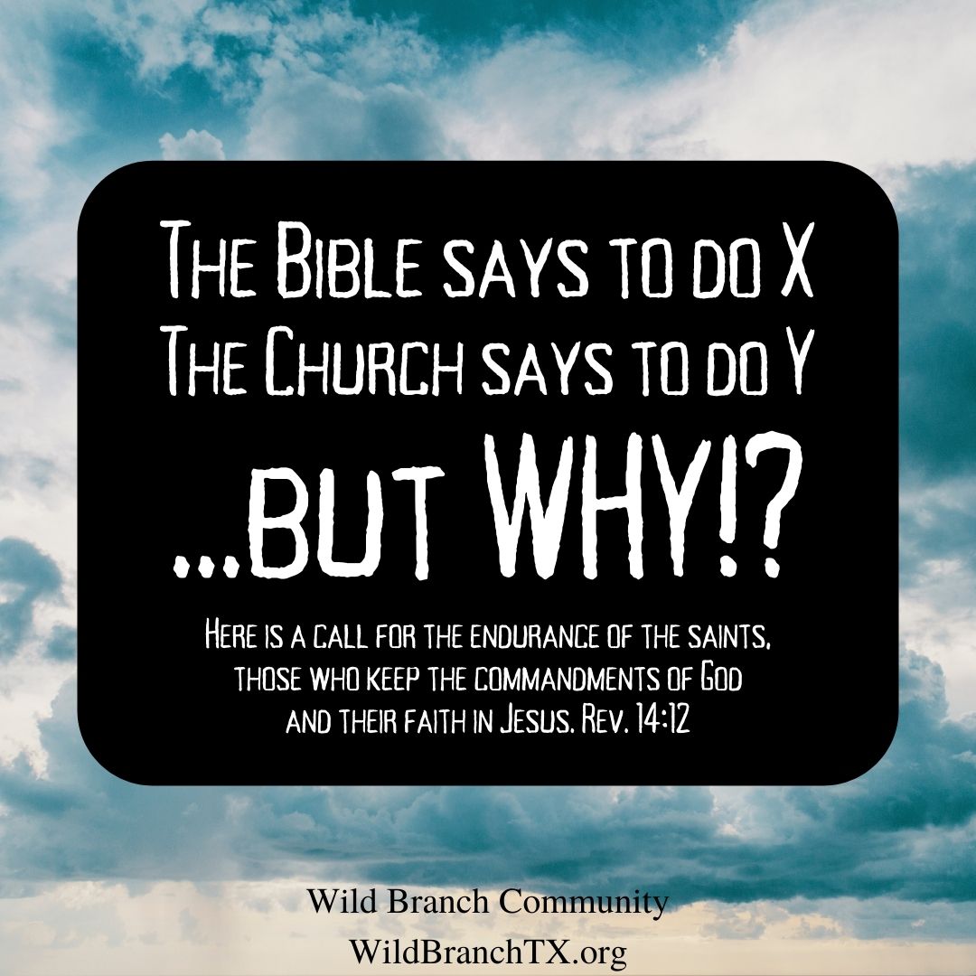 AmericanTorah's tweet image. Wild Branch Community is made up of believers in Jesus (Yeshua) between Houston and Austin. We are wild and native branches of the olive tree, united by faith and living according to God’s Biblical instructions.
#BrenhamTX #ChappellHillTX #BurtonTX

WildBranchTX.org