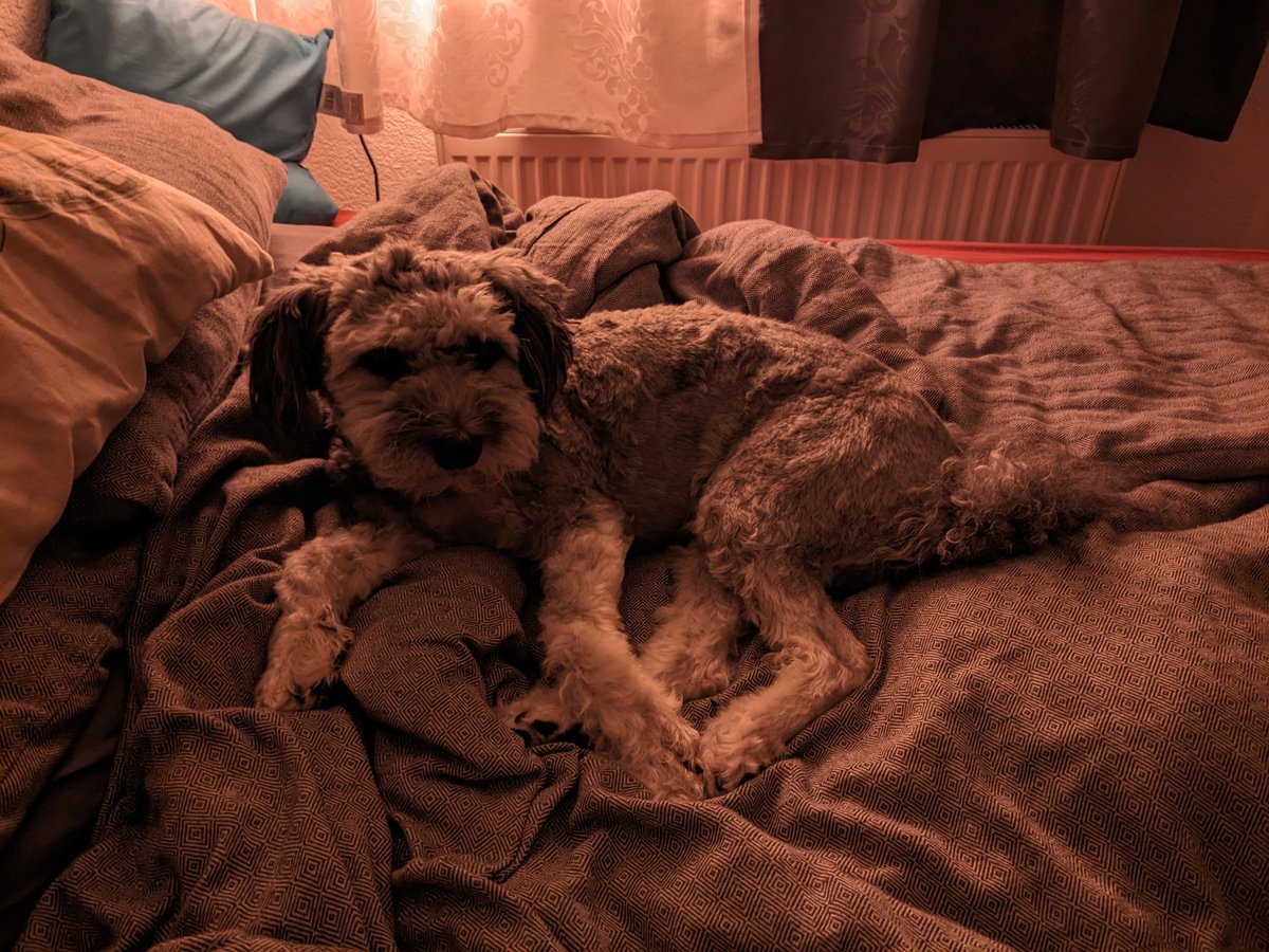 Was meinst Du mit "Dein Platz"? Ich lieg ja jetzt wohl hier.