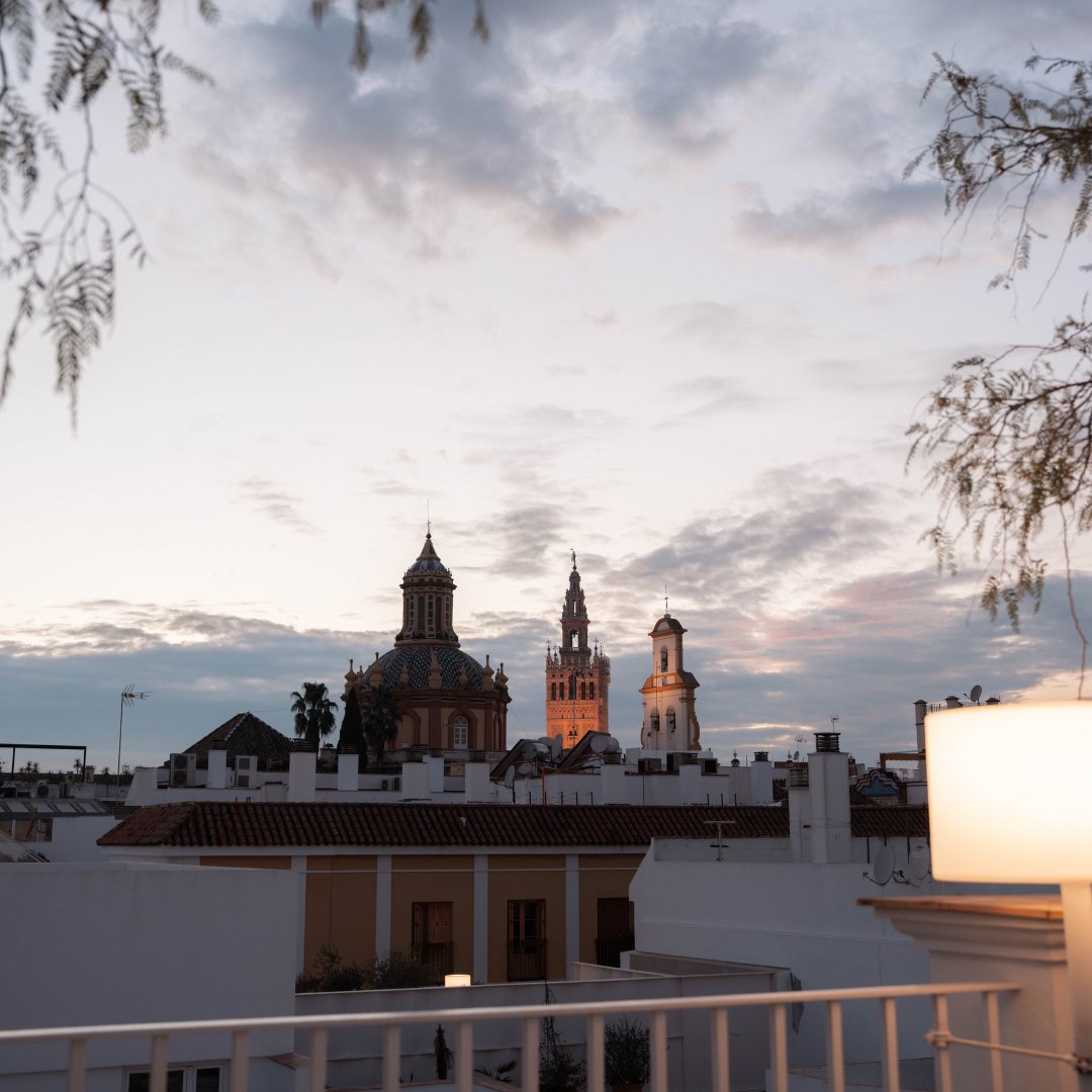 Hotel Fernando III tweet media