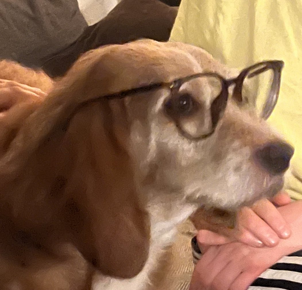 Ecbasum's tweet photo. @chuvnrsever @imaknits Bonjour madame au nom du droit à l’image je souhaiter que tu retirez la photo compromettante prise à mon insu dans un instant d’égarement envoyer message https://t.co/9Crp9qCwg2