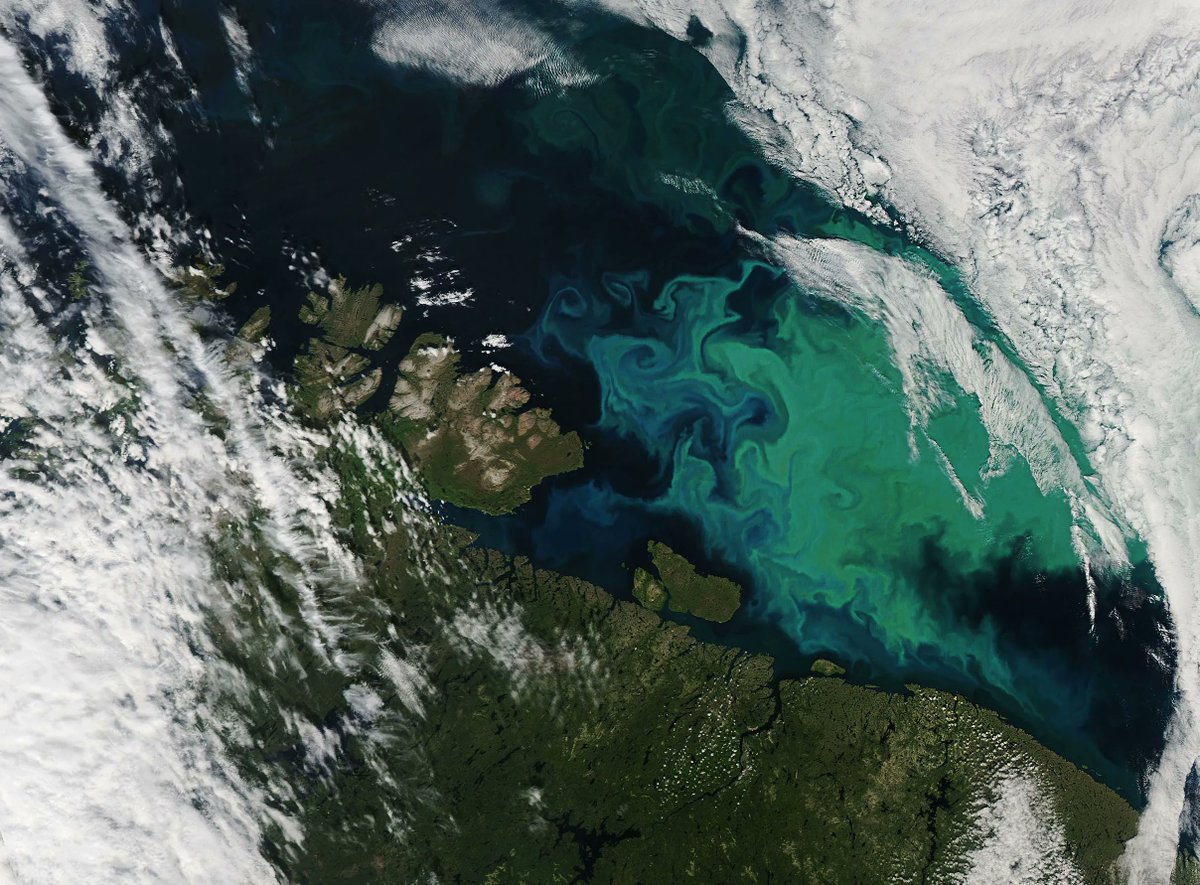 Excited to join the @NASAEarth team for launch Feb. 6 at 1:33 am EST of our Plankton, Aerosol, Cloud, ocean Ecosystem (PACE) mission. It will help us understand ocean life, clouds, pollutants in our atmosphere, and a changing climate. Learn about PACE: nasa.gov/pace