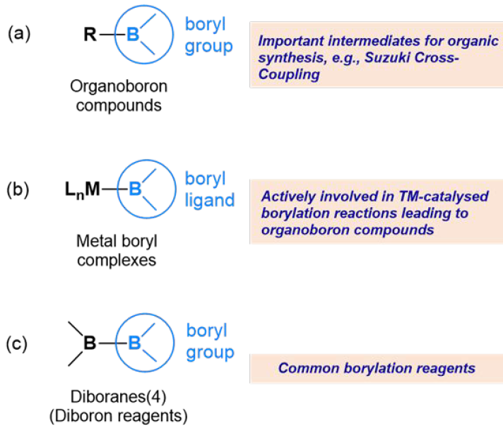 Boryls, Their Compounds and Reactivity: A Structure and Bonding Perspective (@Nankice915): pubs.rsc.org/en/content/art… (@ChemicalScience).