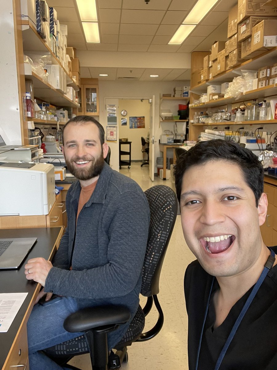 Andrea Obi MD (@andreaobimd) on Twitter photo Banner day in ObiLab! These two submitted first author papers minutes apart. 🤞🤞🤞<a href="/UoMVascSurgery/">UoM Vascular Surgery</a> <a href="/OscarMorenoMD/">Oscar Moreno, MD</a> Banner day in ObiLab! These two submitted first author papers minutes apart. 🤞🤞🤞<a href="/UoMVascSurgery/">UoM Vascular Surgery</a> <a href="/OscarMorenoMD/">Oscar Moreno, MD</a>