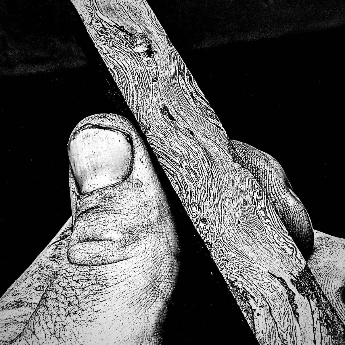 StevenBryanJS's tweet image. 