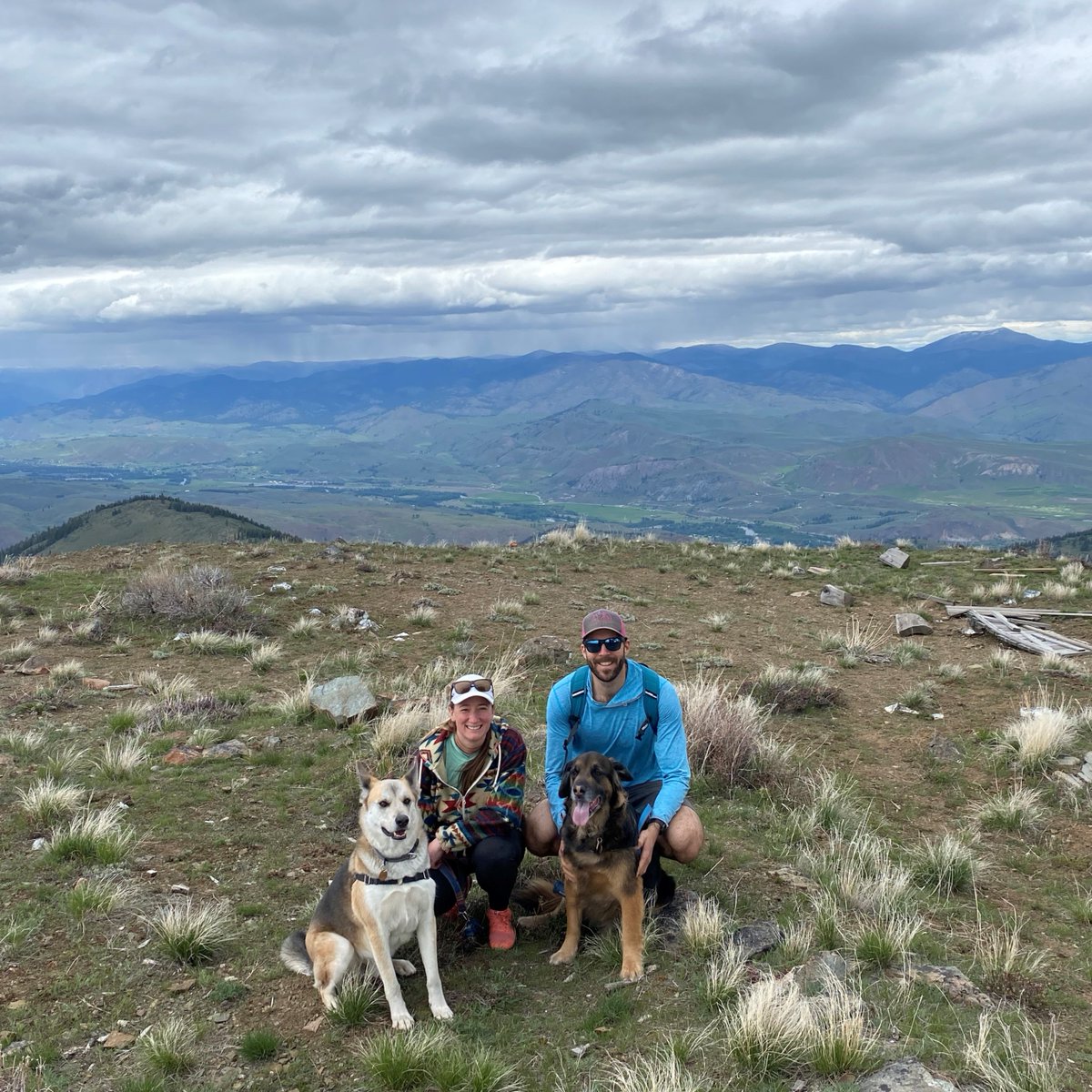 SheJumps tweet media