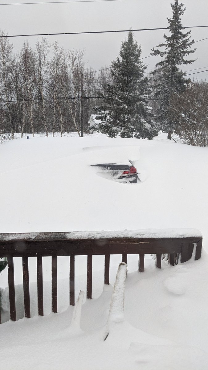 Snow drift burying car. Nova Scotia snow storm. February 5, 2024. #snowdrift #nsstorm #ns #blizzard #novascotia #drifting #snow #novascotiaweather #winterwonderland #eastcoast #snowcovered #natureisamazing
