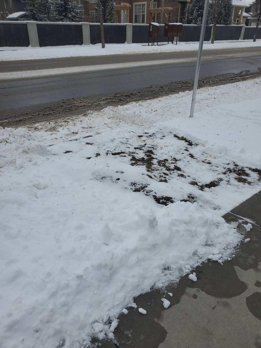 ShaneTMark's tweet photo. @calgarytransit The shovel wasn't just for measuring. This particular stop has been cleared, but there are others throughout our community that aren't. https://t.co/AssEmmKoJA