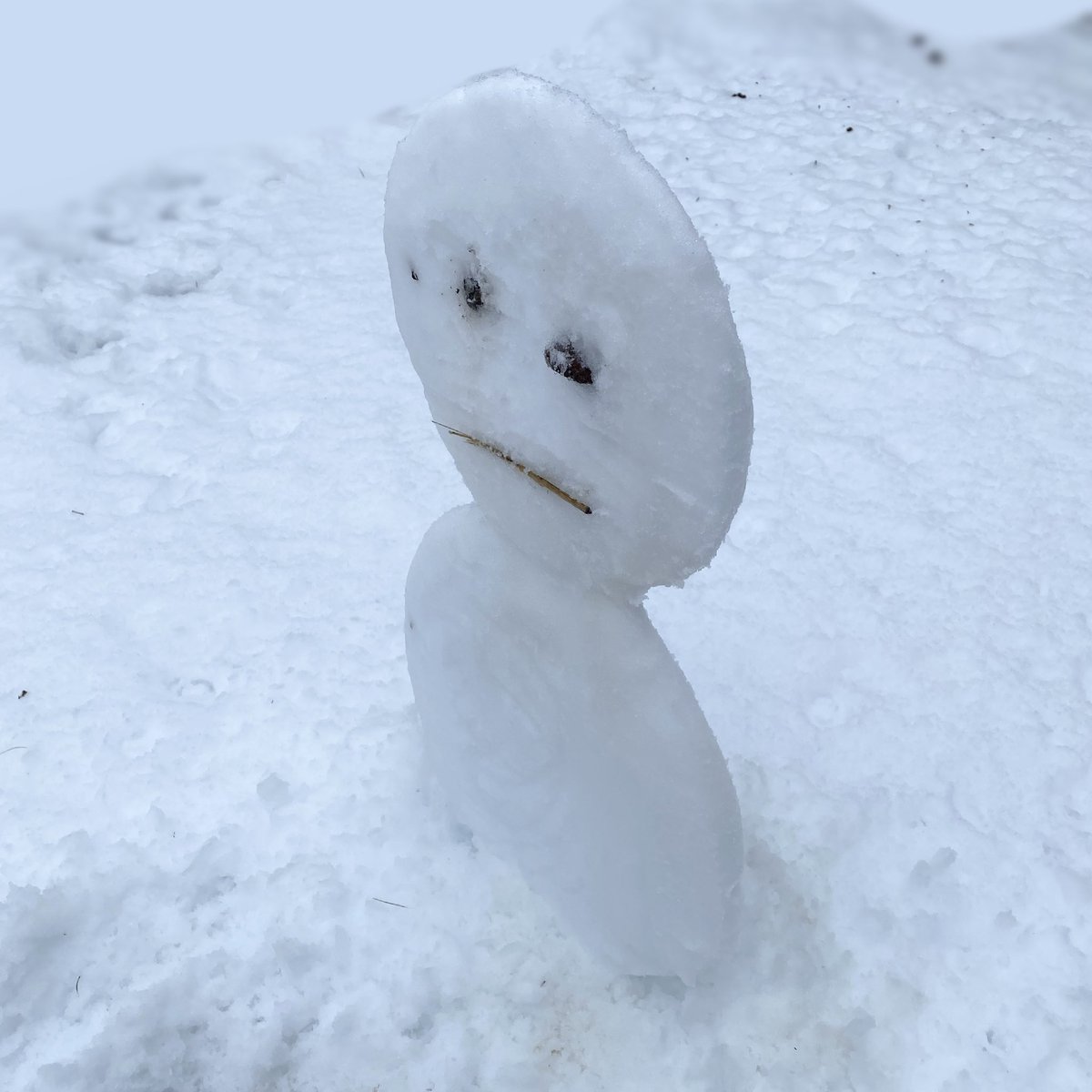 雪だるま作ったんだけど、Z軸忘れてて2次元になっちゃった