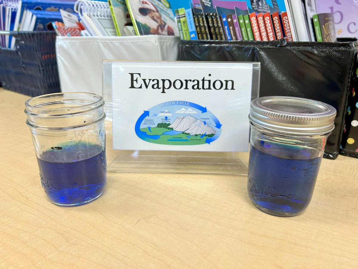 LSabinsky's tweet photo. Evaporation, condensation, and precipitation experiments during our water cycle unit! 
☀️☁️☔️ https://t.co/s9WdHPyqLi