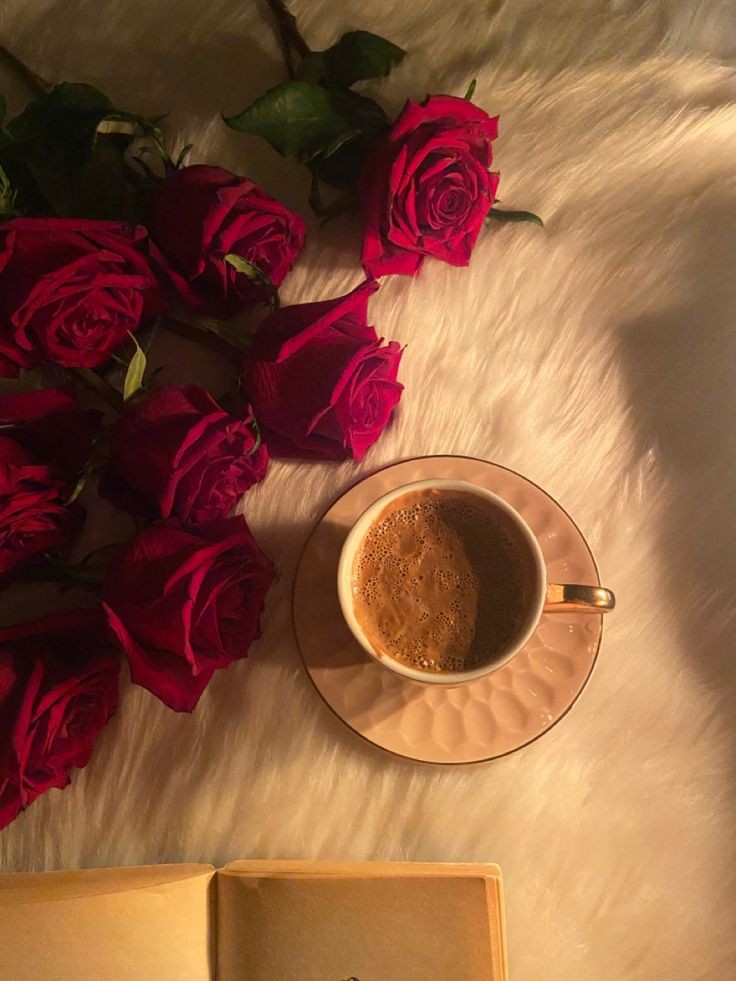 lwlh_2's tweet photo. أجمل شعور تحسة لما تكون بالمكان الصح👌🏻🤍
 #شعوري_اليوم_بكلمه https://t.co/7Lnszmbh8B