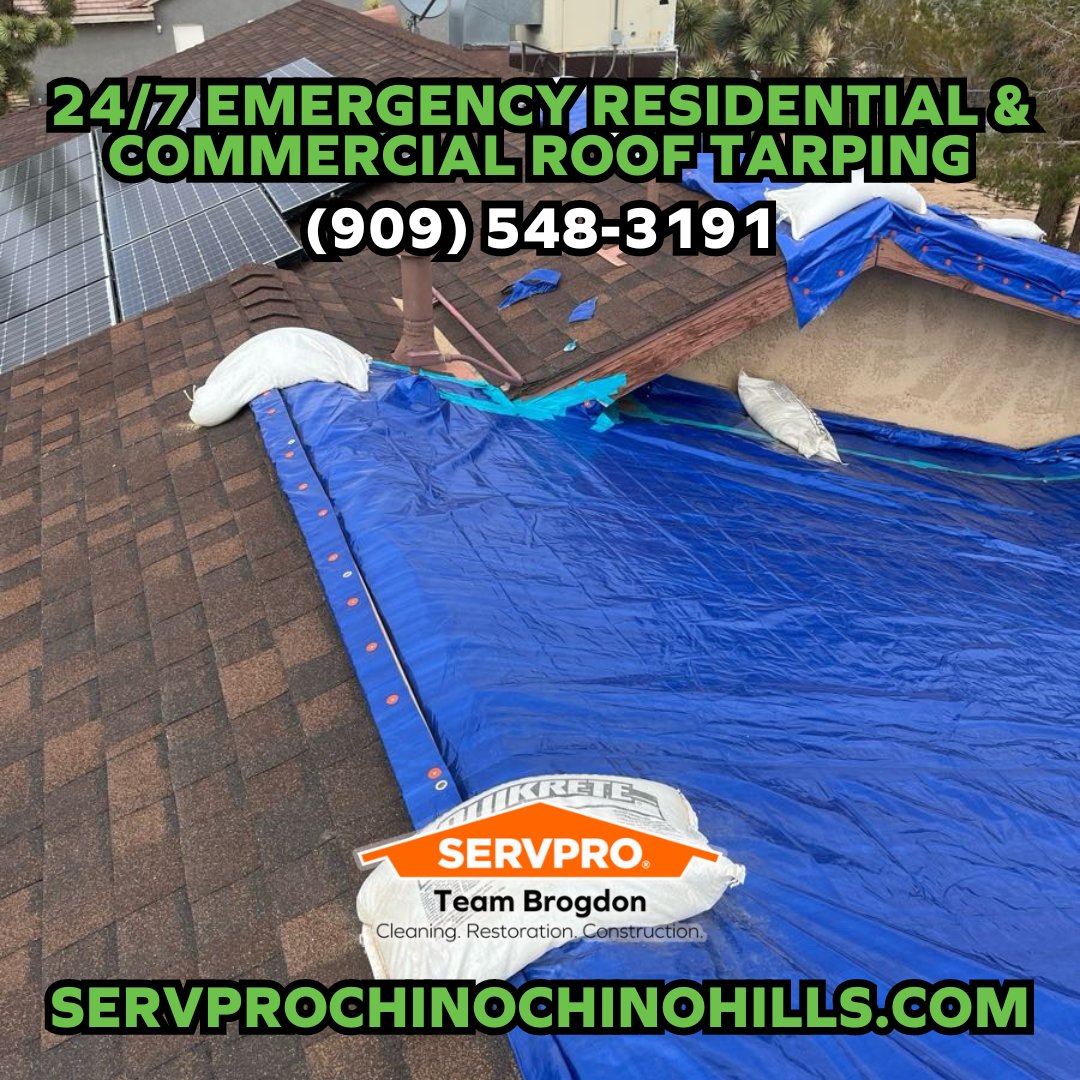 SERVPRO_Chino's tweet photo. When the rain won't let up, #SERVPROTeamBrogdon steps in! Our 24/7 Emergency Roof Tarping ensures your home or business stays secure. Call (909) 548-3191 for immediate assistance in Chino & Chino Hills. 🌧️🛡️ #SERVPRO #LARain #SoCalRain #EmergencyServices #RoofTarping #WaterDamage https://t.co/hsGmUWZF39