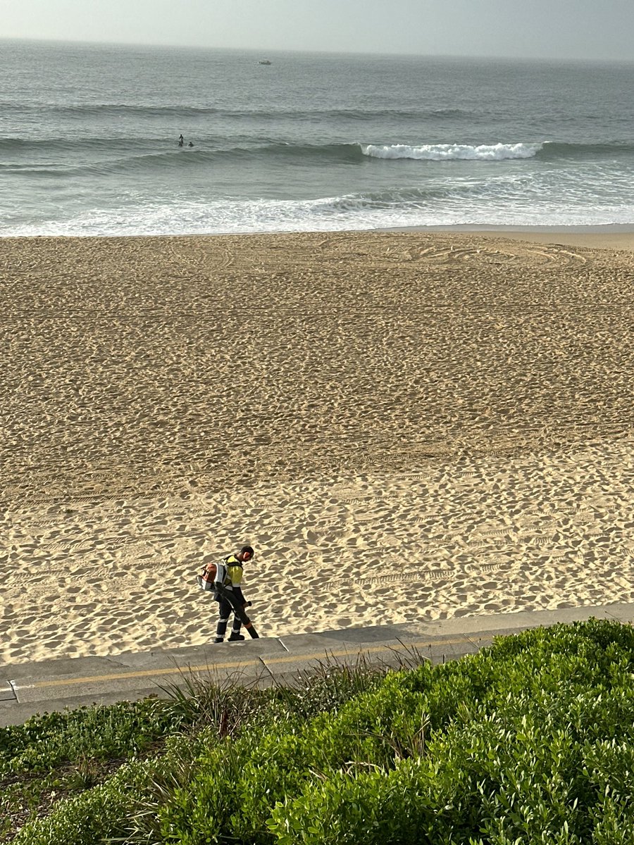 A leaf blower on the beach. Just GTFO