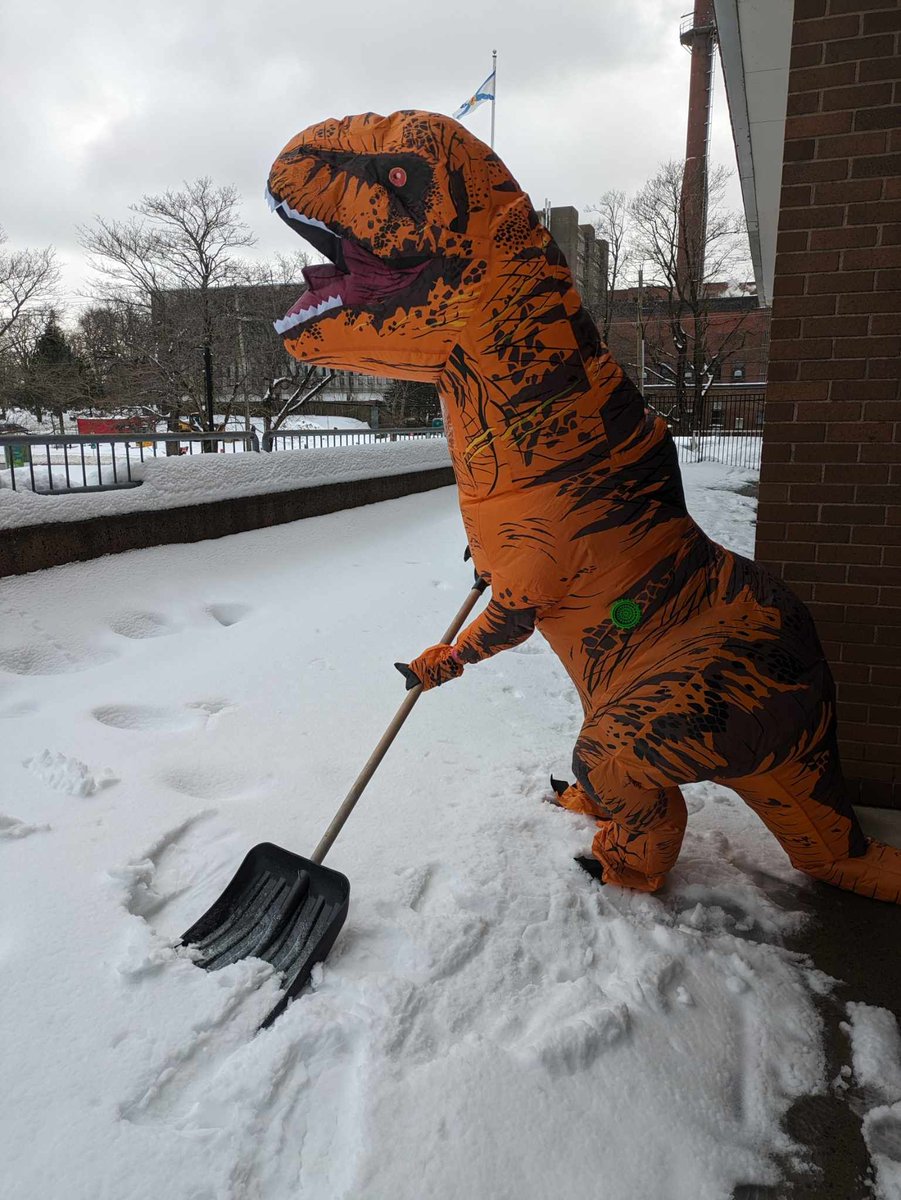 The #dinosaurs are working hard to ensure we're open on Tuesday. 🦖

#Museum #NSStorm #Snow #Halifax #NovaScotia