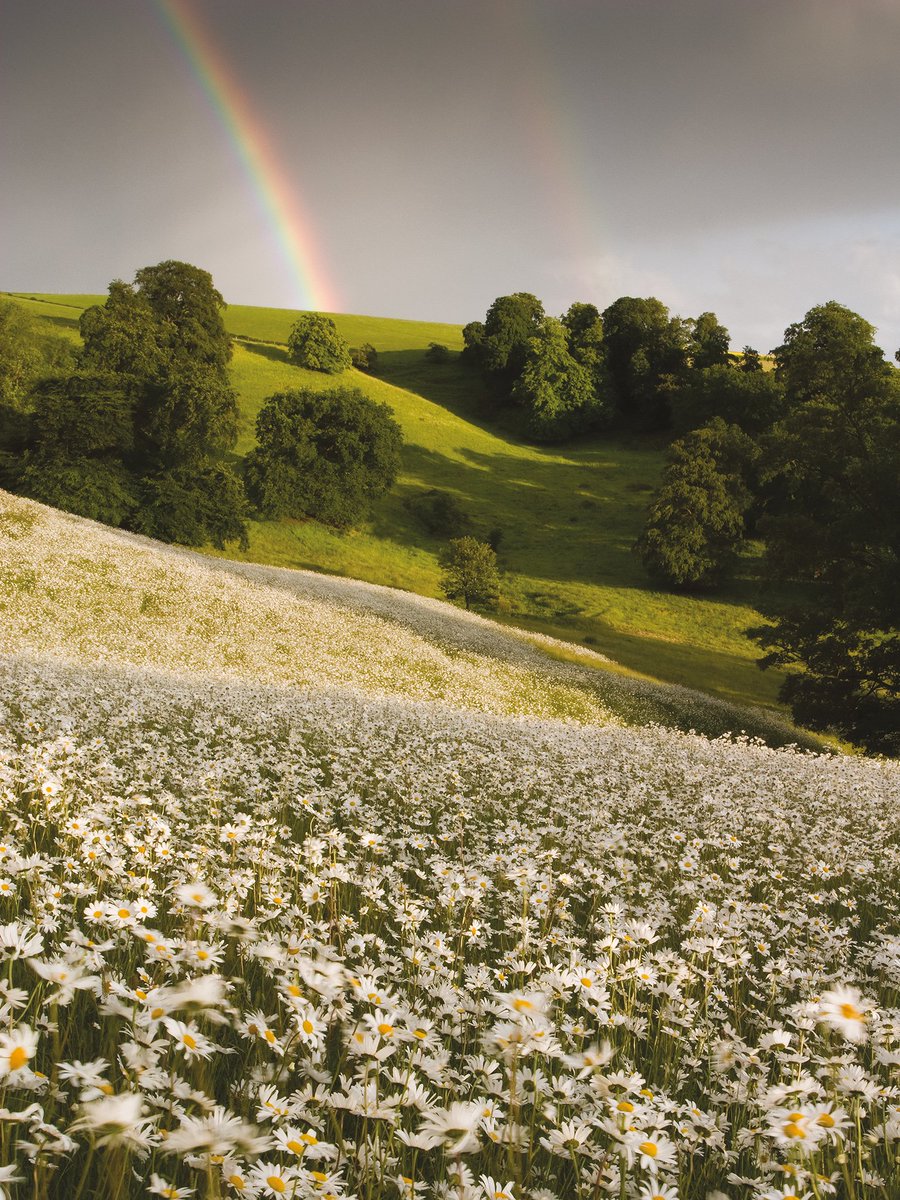 Paul Moon tweet media