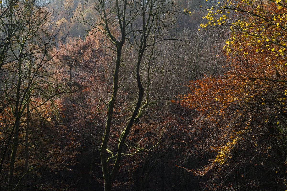 Paul Moon tweet media