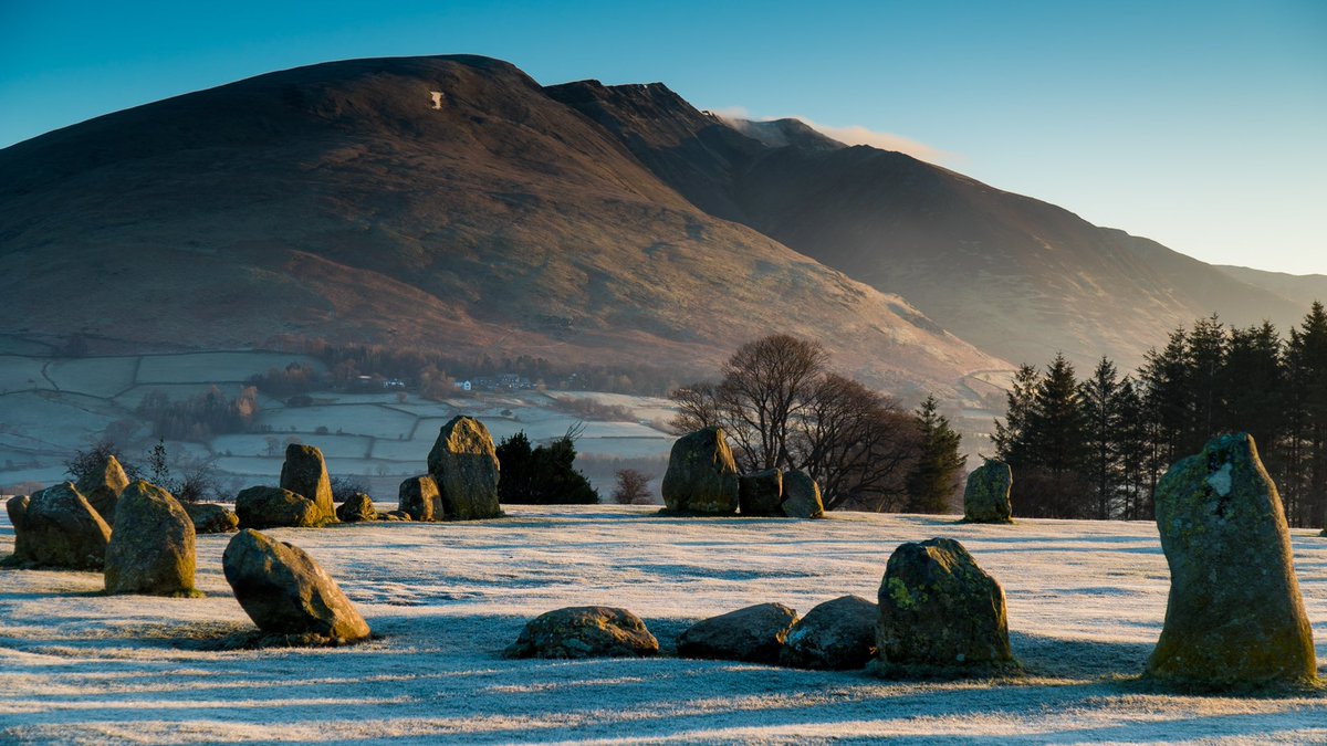 Terry Abraham tweet media