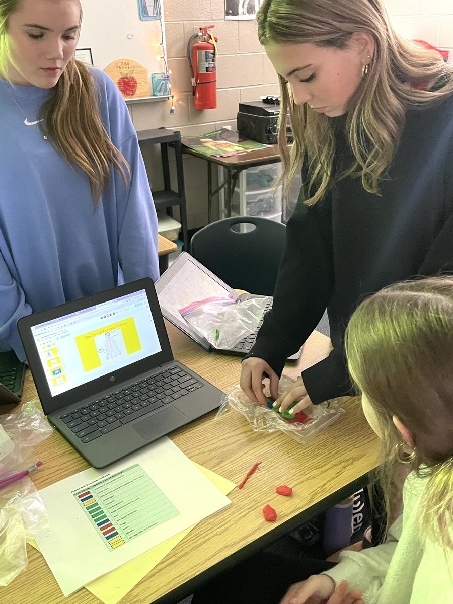 MalcomBridgeMS's tweet photo. 7th grade students in Mrs. Patrick’s science classes building clay models for their Body Systems Unit. https://t.co/8fxexT7yhm