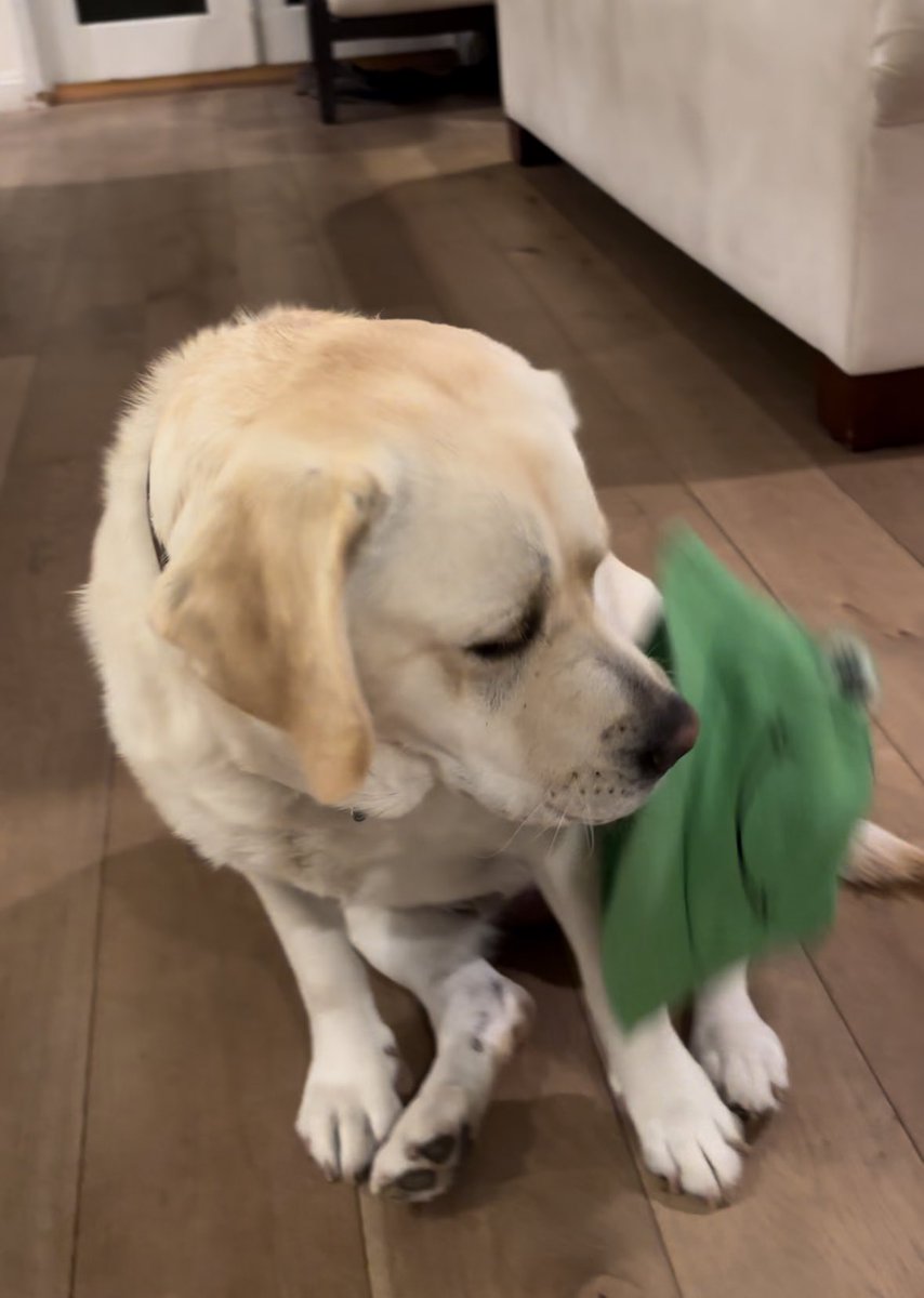 Slam OOF tweet media