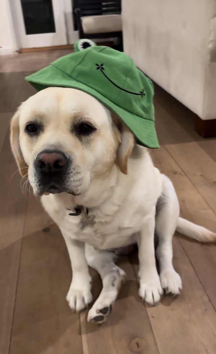 Slam OOF tweet media