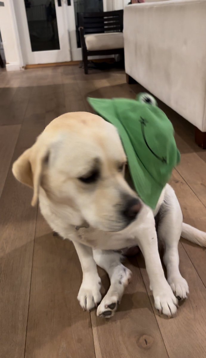 Slam OOF tweet media