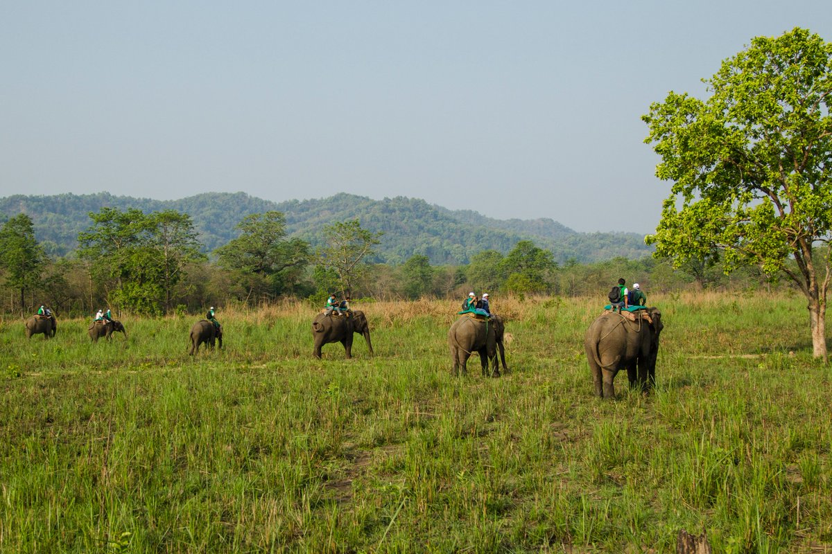 Can applying social norms & behavior change (SNBC) approaches help to reduce the impacts of #corruption in #conservation? These guides, by @TRAFFIC_WLTrade under @TNRCproject, introduce foundational principles/considerations on the use of SNBC approaches. worldwildlife.org/pages/tnrc-gui…