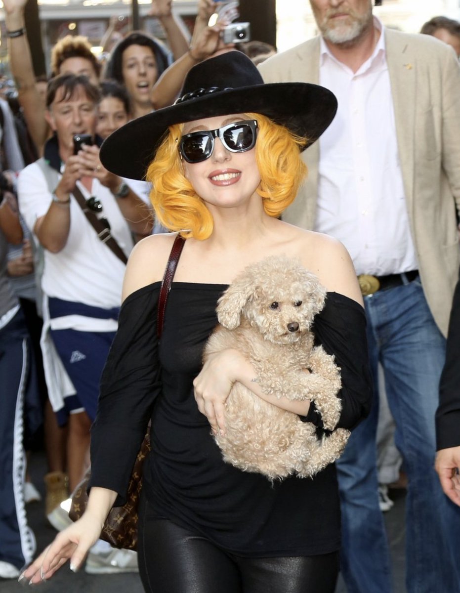 Gaga Daily tweet media