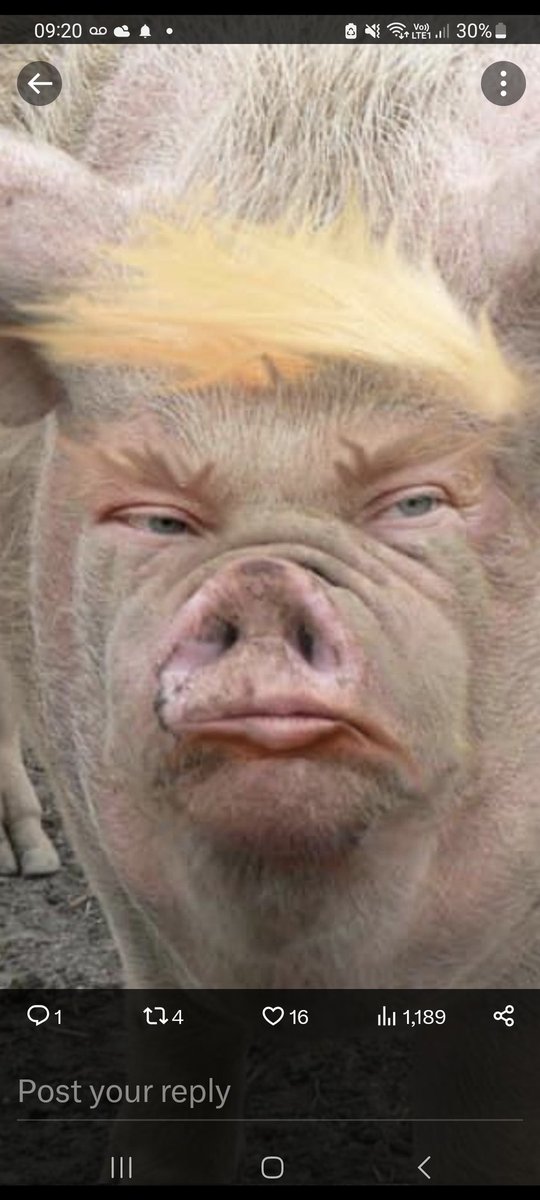 Paul Upham tweet media